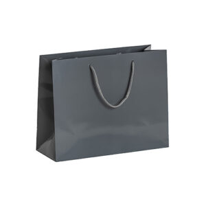 Matt Laminated Bag
